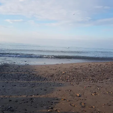 Ow Alfa * ريفال