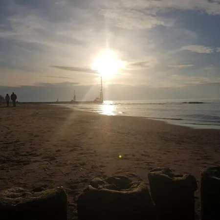 Ow Alfa منتزه العطل ريفال